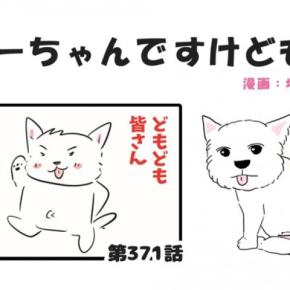 ちーちゃんですけどもっ【第371話】「皆さんへ」