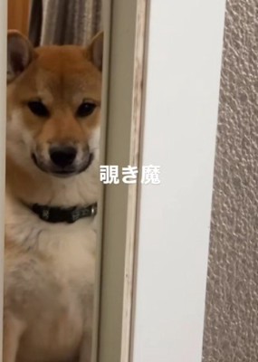 「まだ出てこないの？」