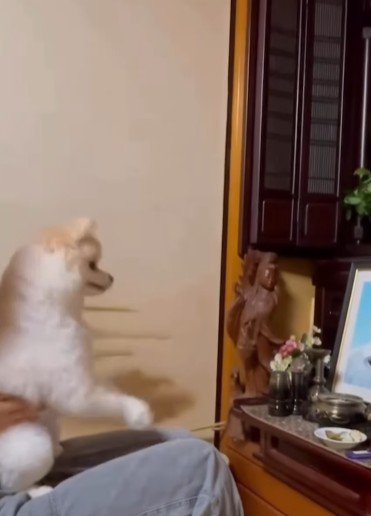 本当はお供えを狙ってる!?