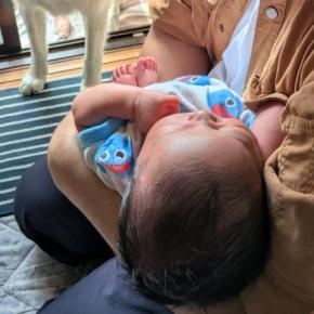 実家に連れて帰った赤ちゃんが泣いた結果→犬が『大丈夫なん?』と近づいて…様々な感情が詰まった『表情』に4万いいね「たまらん」「可愛い一枚」