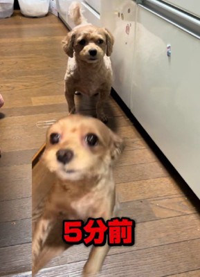 見事な無視…！！