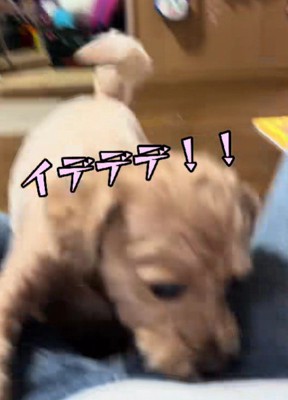 5分後に突然攻撃態勢に！！