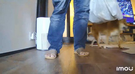 「僕、頑張ったよ！」