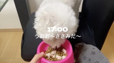 食欲満点！