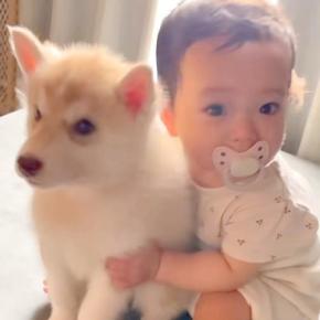 赤ちゃんが『生まれたときから大型犬の子犬と育った』結果→3年後…あまりにも尊い『成長記録』が27万再生「心打たれた」「なんて素敵な家族」