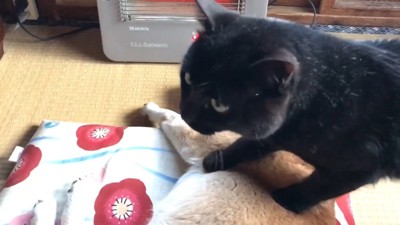 また踏んづけています！