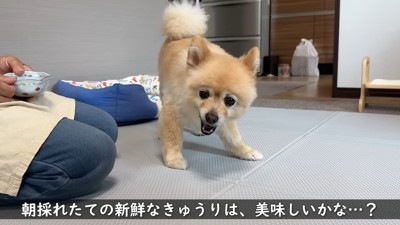 「美味しい～♡」