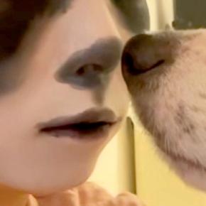 『犬と顔が似ている』と言われた女性→愛犬そっくりにメイクし、顔を見せてみた結果…面白可愛い光景に反響「何してんねんw」「目泳いでて草」