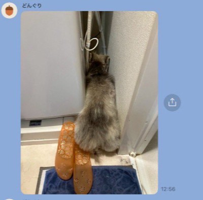冷蔵庫と壁の隙間にフィット!