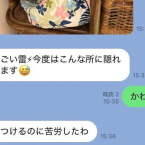親からLINEで『雷を怖がる犬の写真』が送られてきたので確認したら…小さな子供のような『隠れ方』が37万表示「もっといい所あるんじゃww」