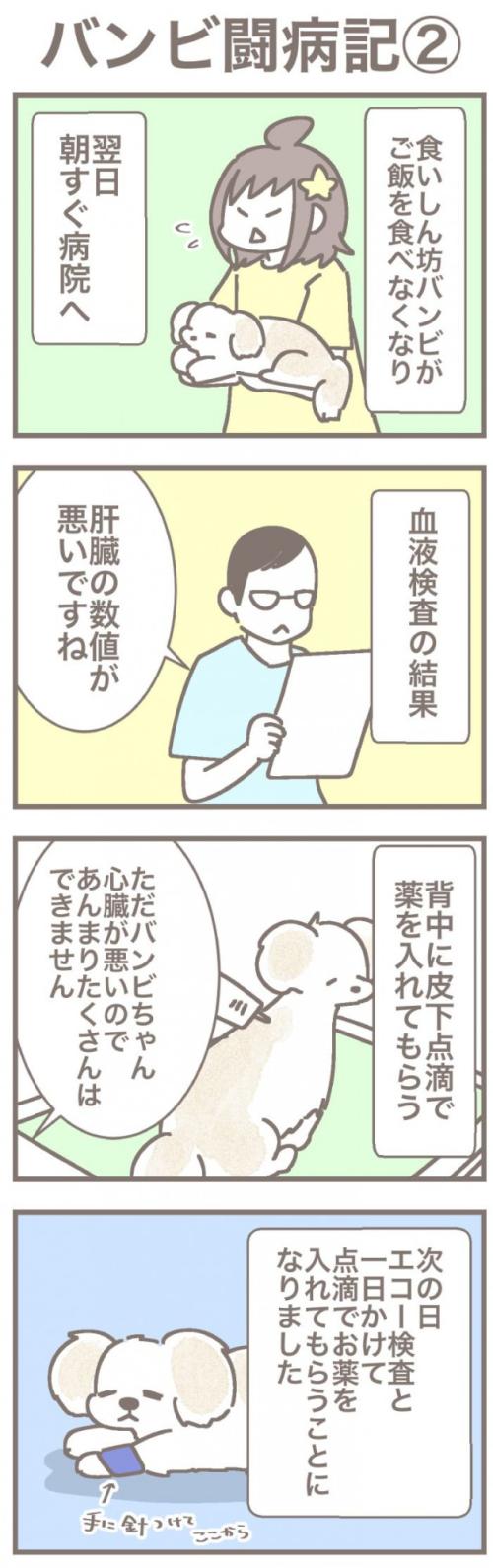 うちの王様にはどうしても抗えない【第370話】