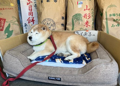 こんなお店行ってみたい…！！