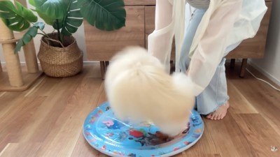 初めての感触にびっくり！