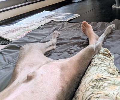 愛犬の足が乗ってた！