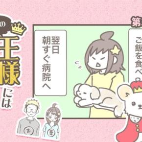 うちの王様にはどうしても抗えない【第370話】「バンビ闘病記②」