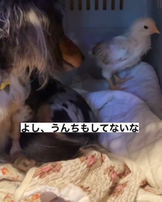 身の回りのお世話も！