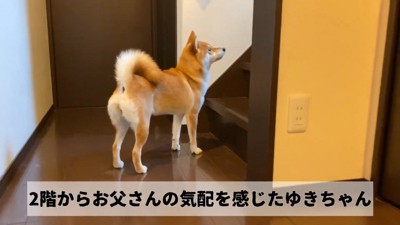 「そろそろ来るかな？」
