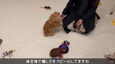 大はしゃぎ!