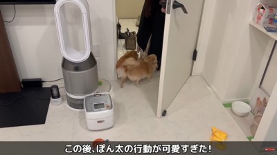 2匹揃って歓迎!
