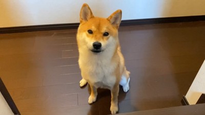 健気に待ち続ける姿が愛おしい！