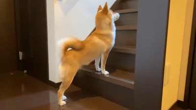 「パパまだ！？遅いよ～」