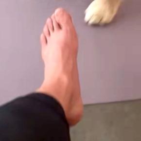 職を失った男性が『ニートになった』と大型犬に報告→『慰めてくれる』と思ったら…『まさかの光景』が37万再生「見下してて草」「目がww」
