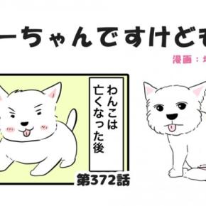 ちーちゃんですけどもっ【第372話】「ちーちゃんはいま」