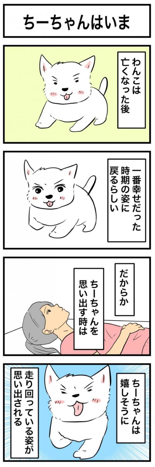ちーちゃんですけどもっ【第372話】　1
