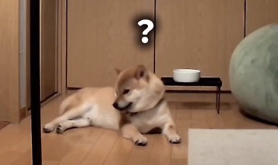 「なんですか？」