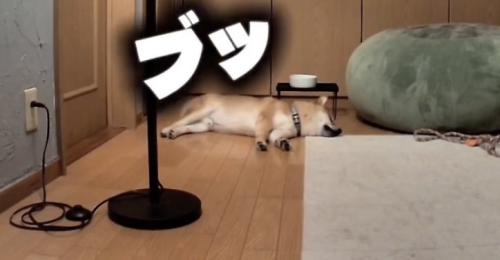 豪快なオナラ！
