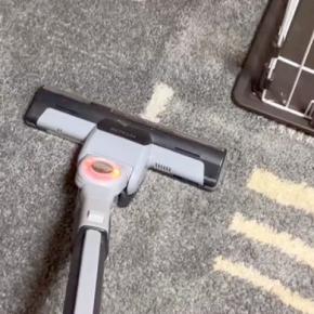 掃除機をかけている最中、部屋の隅っこに隠れてしまった2匹の犬→あまりに可愛い『結託する光景』が231万再生「信じられないものを見る目w」