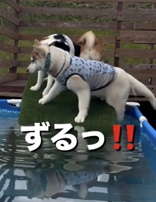 うみくんも踏み外し！