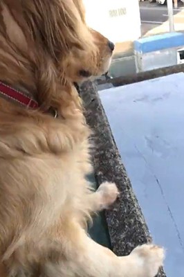 真剣な顔に豹変！！
