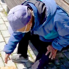 極小子犬が『ベンチで休憩中の知らないおじいちゃん』を発見→一目散に駆け寄って…とんでもなく可愛い光景が10万再生「たまらん」「チョロQ?」