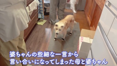 喧嘩が始まってしまった…