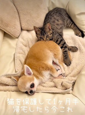 出会ったばかりとは思えない！