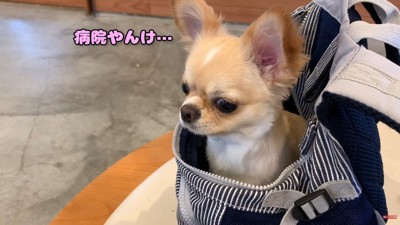 「ここ病院じゃん！騙された…」