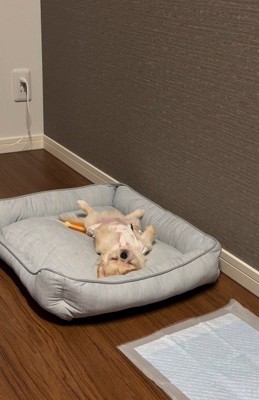 堂々と眠ることも