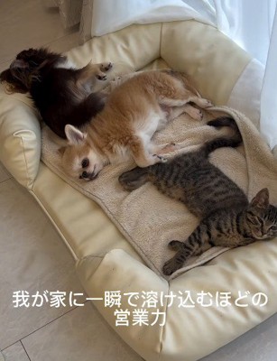 コミュニケーション能力抜群！！
