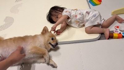 「ツンツンしないでよ～」