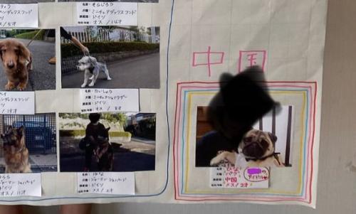 虹色に囲われる
