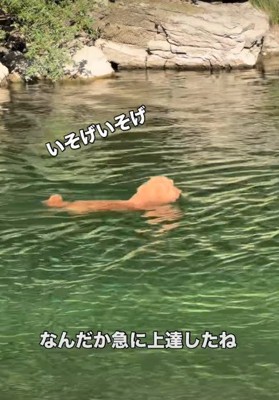 泳ぎが急に上達した