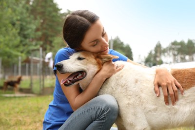 白茶の犬、抱きしめる
