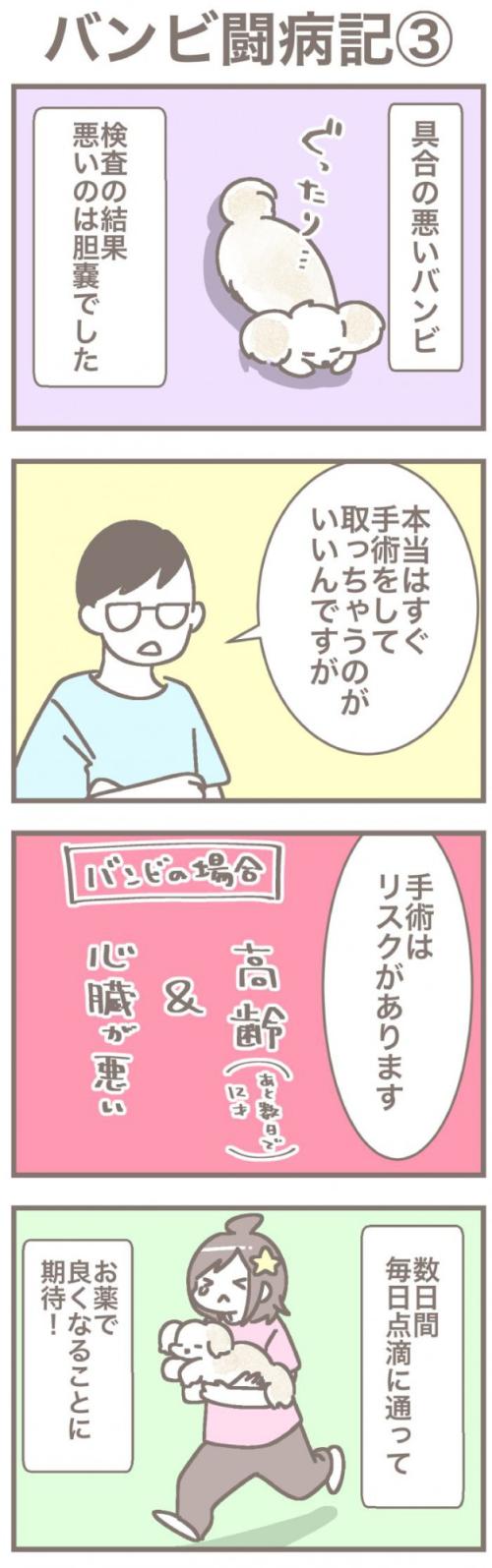うちの王様にはどうしても抗えない【第371話】