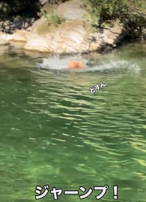 勇気を振り絞った