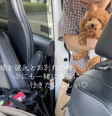 娘が彼氏を連れてきた結果→お別れの時、犬が『行かないで』と訴えて…思わず連れて帰りたくなる光景に絶賛「可愛すぎ」「娘さん妬いちゃうｗ」