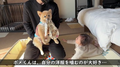 穏やかな朝を迎えた