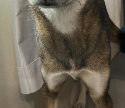 大きなオナラをしてしまった