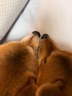まさかの喧嘩中だった！！