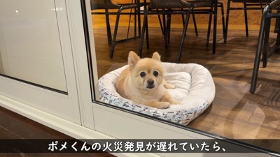 通報は一人目だった
